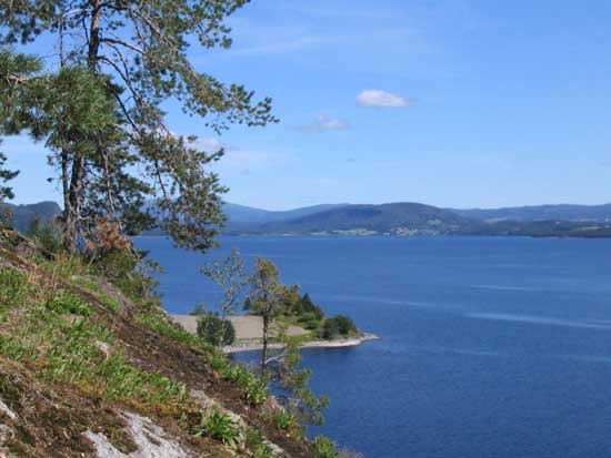 Snanavadnet
